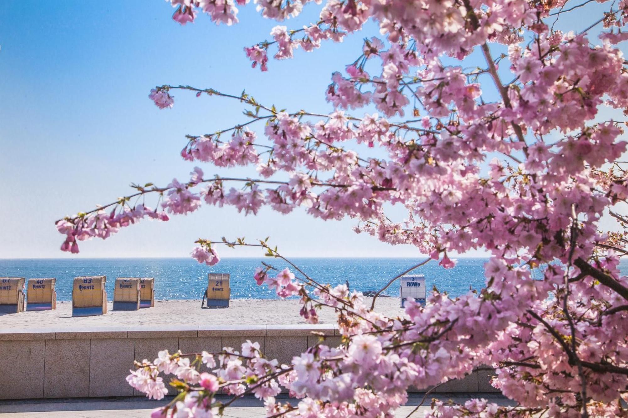 Pink Und Meer - Meerblick, Sauna, Kamin & Whirlpool Baabe Exterior photo
